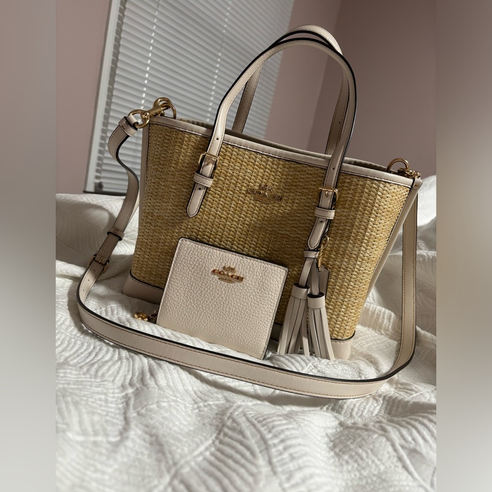 Coach Mollie Tote Bag 25 In Straw